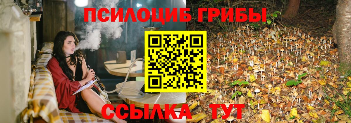 Ивантеевка  Псилоцибиновые грибы Cubensis  Вход с VPN 