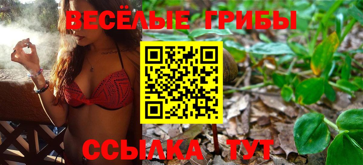 Псилоцибиновые грибы мицелий Ивантеевка
